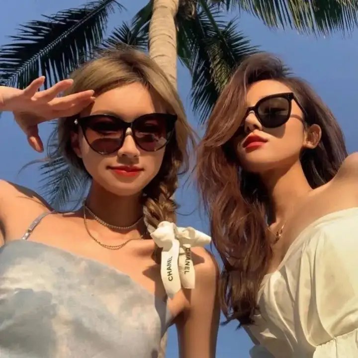 鲨人树儿 封面