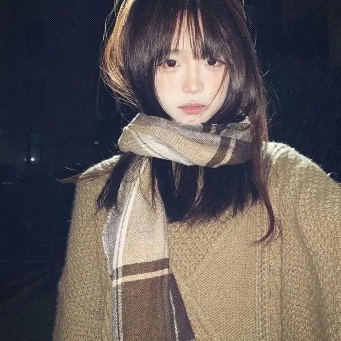 义胆雄心 封面